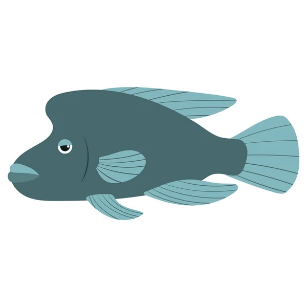 Vacker tecknad illustration med färgglada havsdjur humphead wrasse på vit bakgrund för utskrift design. Grafisk grabb. — Stock vektor