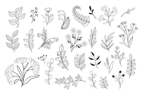 Set Black White Flowers Line Style Doodle Vector Floral Illustrations — Stock Vector