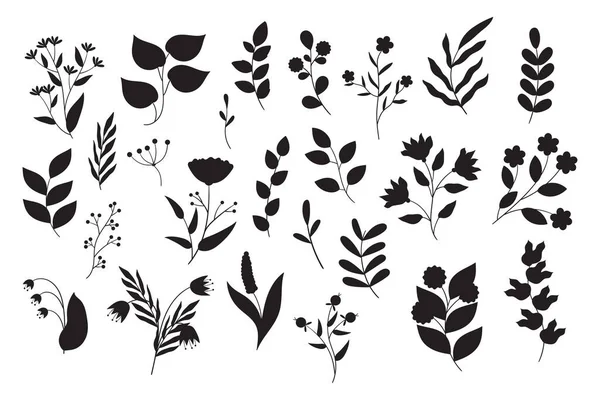 Set Black White Flowers Silhouette Doodle Vector Floral Illustrations Collection — 图库矢量图片