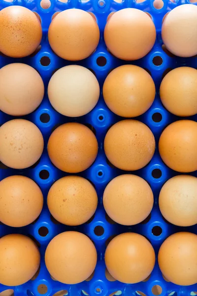 Muchos Huevos Marrones Naturales Contenedor Plástico Azul Una Granja Chciken — Foto de Stock