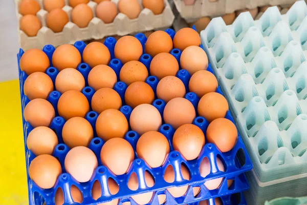 Ver Cerca Los Huevos Marrones Frescos Recipientes Plástico Azul Una — Foto de Stock