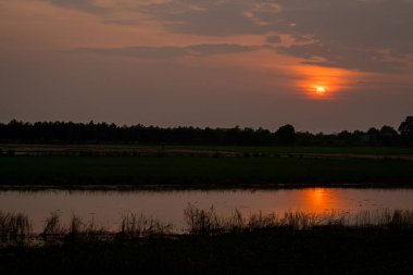 Karanlık gökyüzü, ağaç ve göl siluetleri ile dramatik günbatımı manzarası. Göl manzaralı gökyüzü