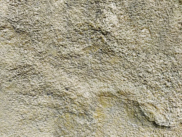Beyaz, grunge beton eski Beyaz Stucco Duvarı. modern tavan arası tasarımı