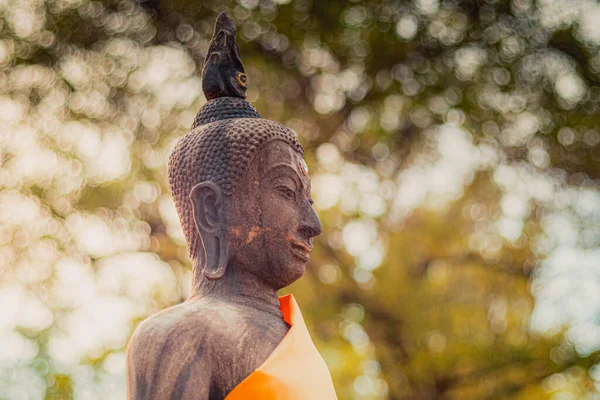 Ředitel Buddhy Profilu Pozadí Rozmazané Abstraktní Náboženské Válečné Lodi — Stock fotografie