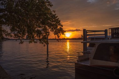 Gün batımında ağaç silueti. Altın güneş batımı su yüzeyine yansıyor
