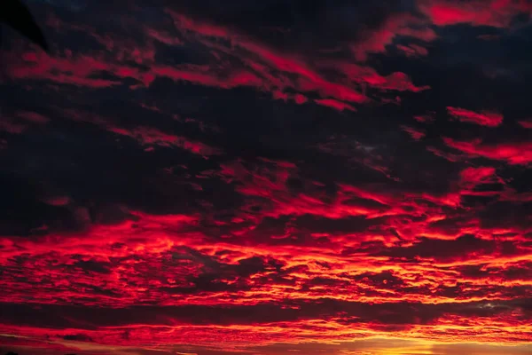 Rot Feuer Blut Sonnenuntergang Himmel Wolken Schön Phänomen Natur Hintergrund — Stockfoto