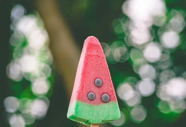 Ice Cream Popsicles Shape Waterlamon Nature Background Frozen Fruit Juice — 图库照片