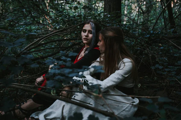 Filles Dans Une Robe Historique Dans Une Forêt Conifères — Photo