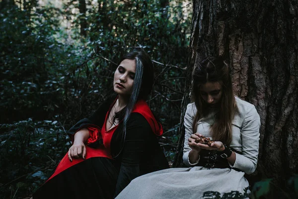 Meninas Vestido Histórico Uma Floresta Coníferas — Fotografia de Stock