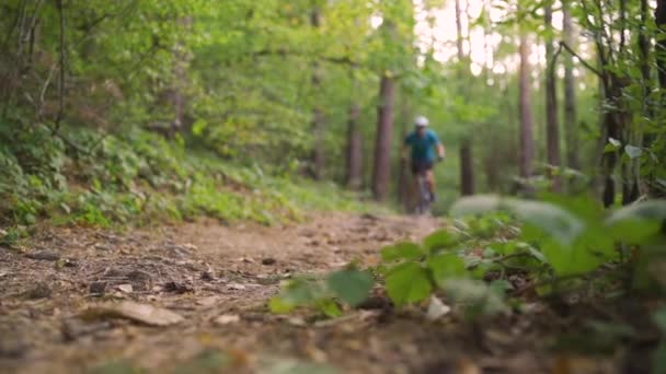 Desfocado mountain biker downhill na floresta — Vídeo de Stock