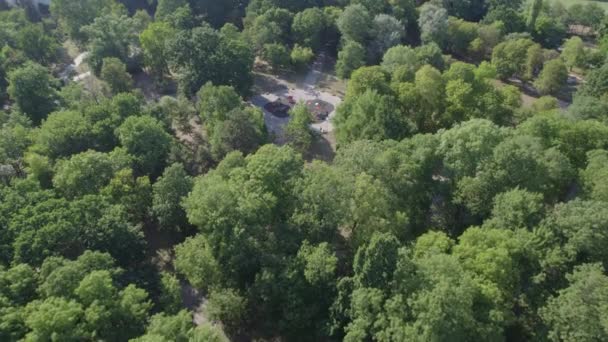 Veduta aerea drone del parco pubblico con parco giochi per bambini a Sofia, Bulgaria — Video Stock