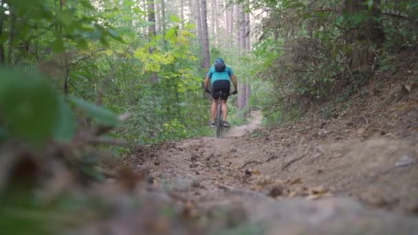 Молодий гірський велосипедист піднімається на стежку в лісі — стокове відео
