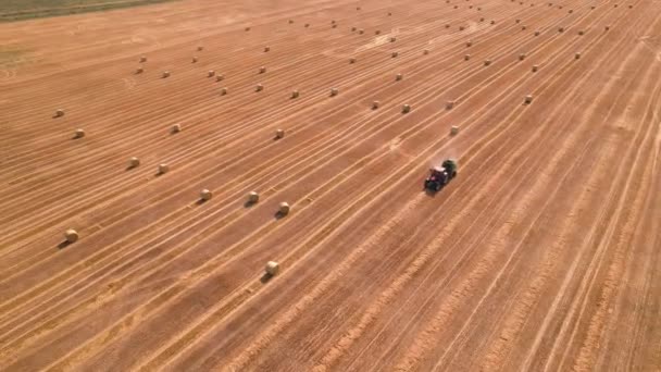 Balenpers verzamelen stro in het veld en maken grote balen. Landbouwkwaliteit — Stockvideo