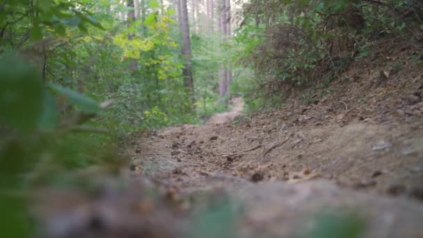 Fiatal hegyi kerékpáros mászik egy ösvényen egy erdőben — Stock videók