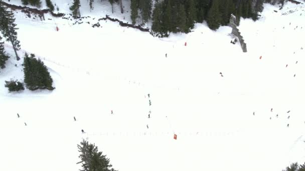 People skiing at ski resort in Pamporovo, Bulgaria — стоковое видео