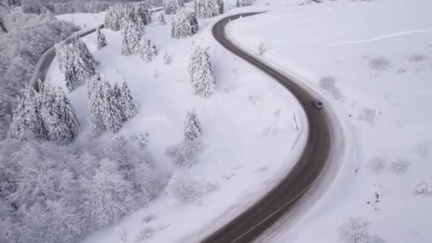 Kış yolu kıvrımlı SUV 'yi takip eden İHA Noel tatillerinde seyahat ediyor. — Stok video