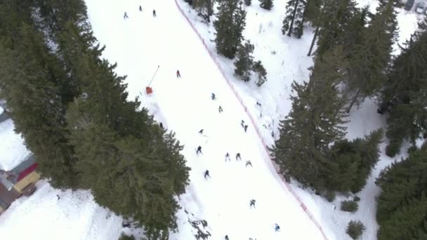 Aerial View of Mountain Peak People Skiing and Snowboarding — стоковое видео