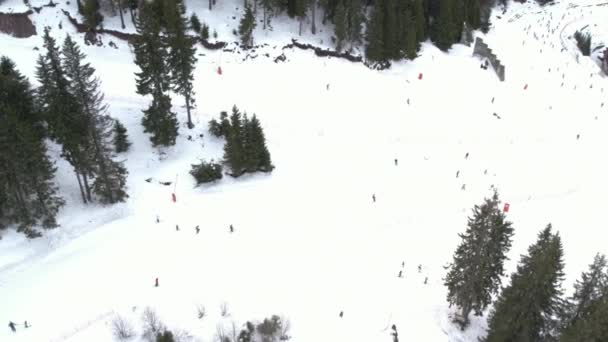 Bulgaristan 'ın Pamporovo kentindeki kayak merkezinde kayak yapan insanlar — Stok video