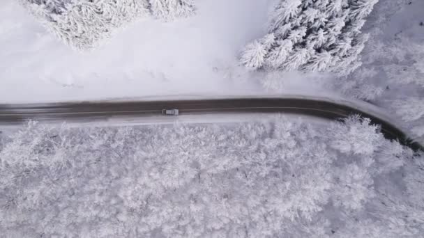 Drohne jagt silberfarbenes Auto auf winterlicher Straße durch zugefrorenen Kiefernwald — Stockvideo