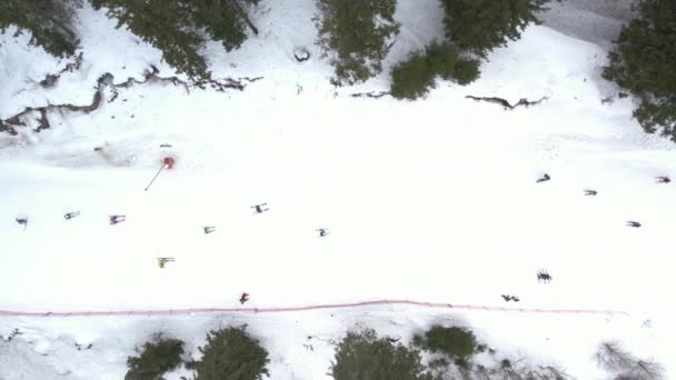 Lotes de esquiadores e snowboarders em uma encosta na estância de esqui na Bulgária — Vídeo de Stock