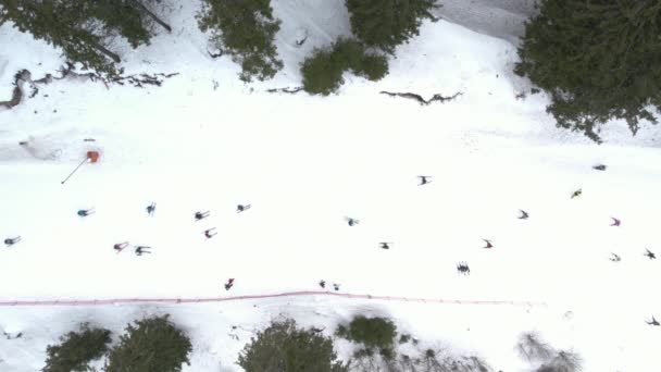 Vista aérea de esquiadores y snowboarders en pista de esquí — Vídeo de stock