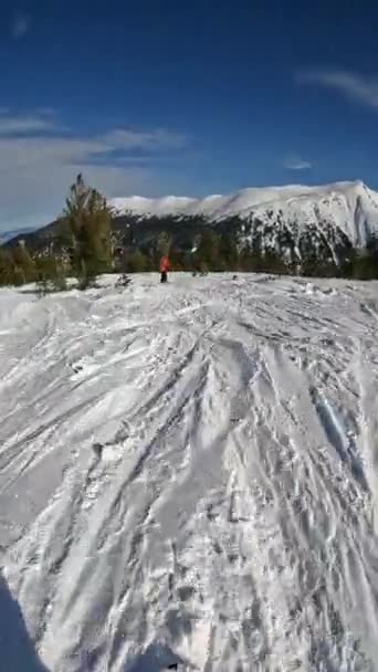 Verticale video van twee extreme freestyle snowboarders die tussen bomen afdalen — Stockvideo