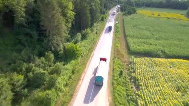 Aerial drone view of sunflower field ready to be harvested. Agricultural field in the summer. High quality 4k footage