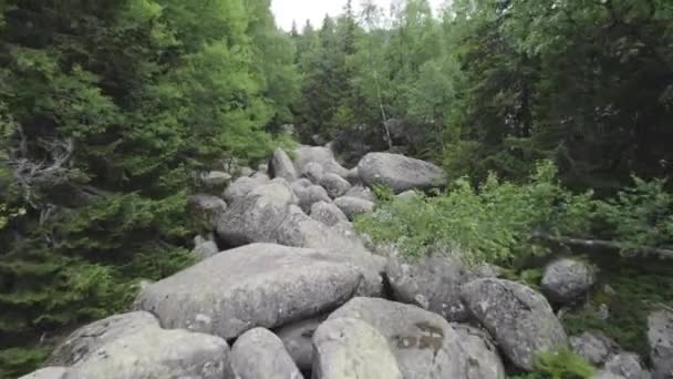 Low Flying Vitosha Mountain Stone River Sofia Bulgaria High Quality — Vídeo de Stock