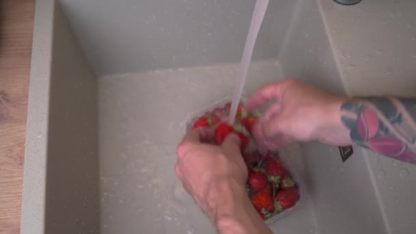 Man Washing Ripe Strawberries Kitchen Sink Tap Water String Organic — Video Stock