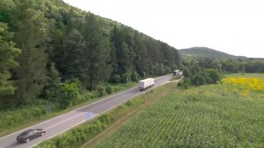 Ayçiçeği tarlasının hava aracı görüntüsü hasat edilmeye hazır. Yazın tarım tarlası. Yüksek kalite 4k görüntü