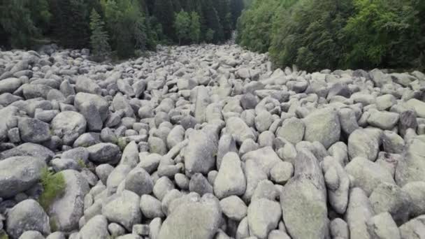 Stone River Rock Landform Natural Wonder Vitosha Mountain Bulgaria Flying — Stockvideo