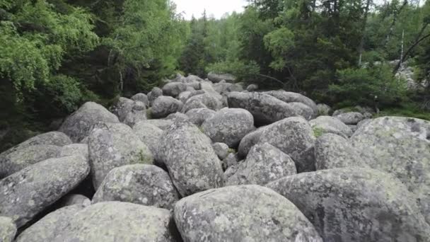 Stone River Rock Landform Natural Wonder Vitosha Mountain Bulgaria Flying — Stockvideo