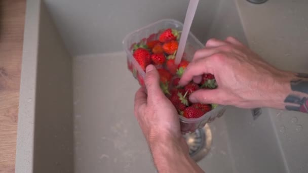 Man Washing Ripe Strawberries Kitchen Sink Tap Water String Organic — Vídeo de Stock