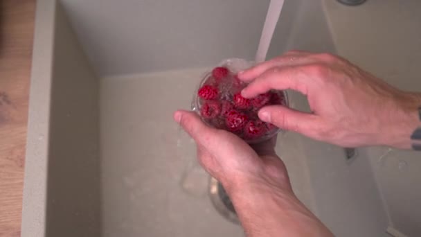 台所の流しの熟したラズベリーを水道水の文字列の下で洗う男 プラスチック容器に有機ラズベリー果物 甘い夏の果物 家庭料理 — ストック動画