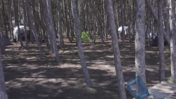 Низкая Муха Между Палаткой Деревьями Прибрежном Лагере Высококачественные Кадры — стоковое видео