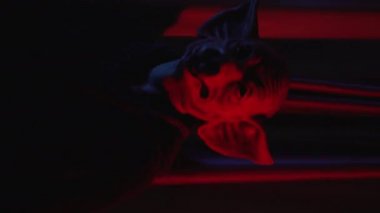 Domuz maskeli, titreyen ışık saçan şeytan adamın dikey videosu. Yüksek kalite 4k görüntü