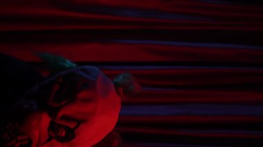 Korku filmi palyaço maskeli zombi adam ürkütücü hareketler yapıyor. Yüksek kalite 4k görüntü