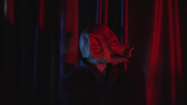 Odada Kırmızı Perdeli Domuz Maskeli Bir Adamın Videosu Var Yüksek — Stok video