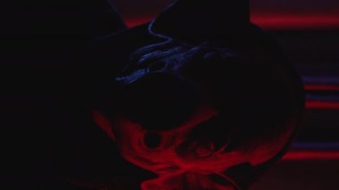 Domuz maskeli, titreyen ışık saçan şeytan adamın dikey videosu. Yüksek kalite 4k görüntü