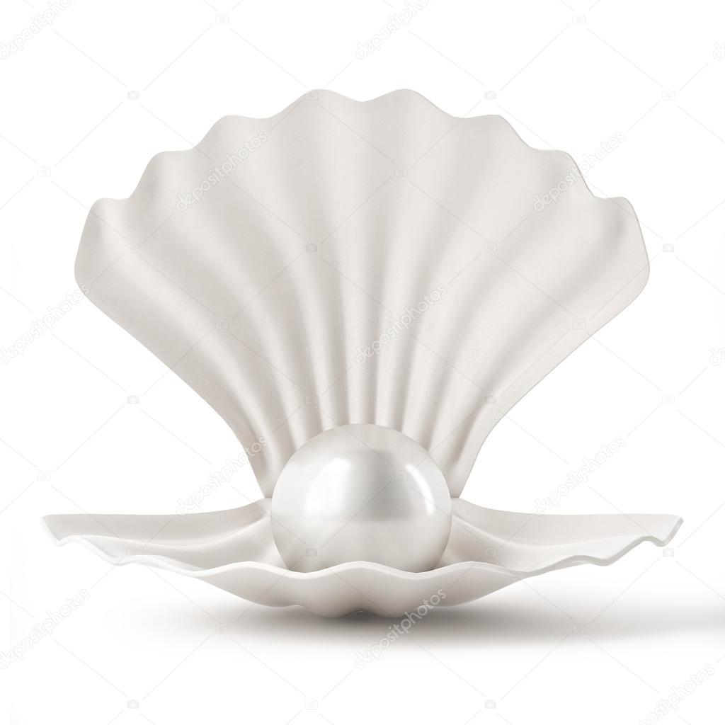 3d White Shell with Pearl isolated on white background