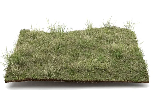 Beyaz arka plan üzerinde izole 3d çim çimen — Stok fotoğraf