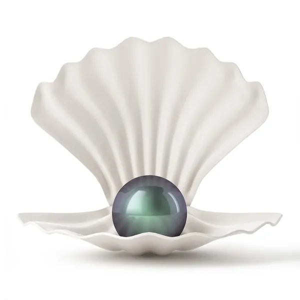 3d Black Shell с жемчугом изолированы на белом фоне — стоковое фото