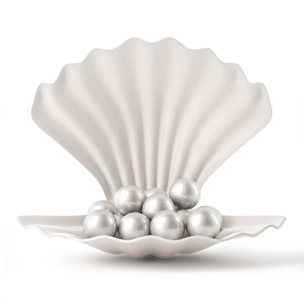 3d White Shell with pearls isolated on white background