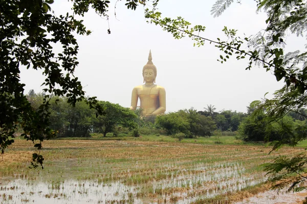 Grande buddha da Tailândia — Fotografia de Stock