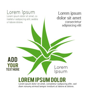 Aloevera beyaz bir arkaplanda izole edilmiş, Vektör illüstrasyonu