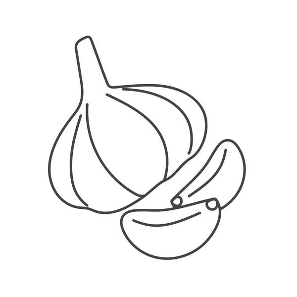 Head Garlic Two Cloves Garlic Drawn Doodle Style White Background — Vetor de Stock