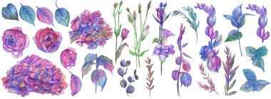 Çiçek ve dallardan oluşan suluboya elementler.