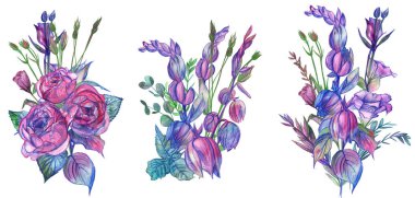 Çiçekli suluboya buketler ortanca ve güllerin yanı sıra Eustoma ve Campanula