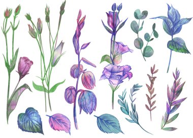 Östoma çiçekleri ve çan dalları kız tasarımı için beyaz bir arkaplanda izole edilmiş.