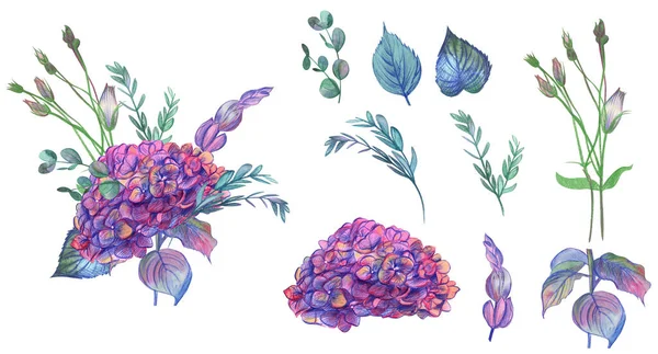 꽃다발 과 꽃다발의 성분들 : hydrangea 꽃 가지 — 스톡 사진